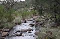 Madera Canyon Creek